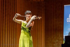 Violin