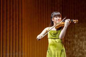Violin