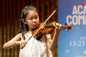 Violin