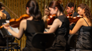 Wang Haoming, Wilker Paredes Pernia