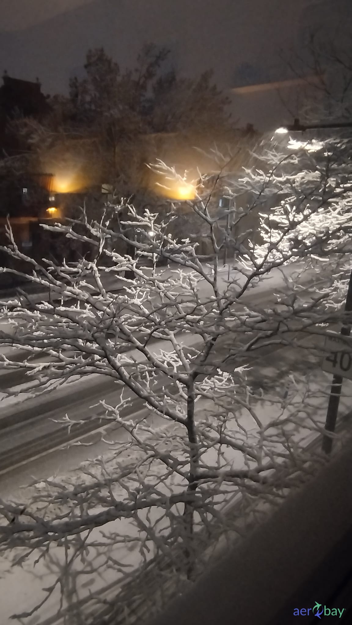 109-0881-34-123 - COVER - Condition SV