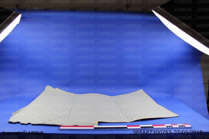 365A87300753 - TRIM, REAR LH (DAP) - Condition NS