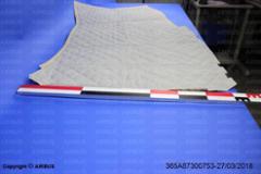 365A87300753 - TRIM, REAR LH (DAP) - NS