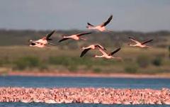 sam130 - description - NE