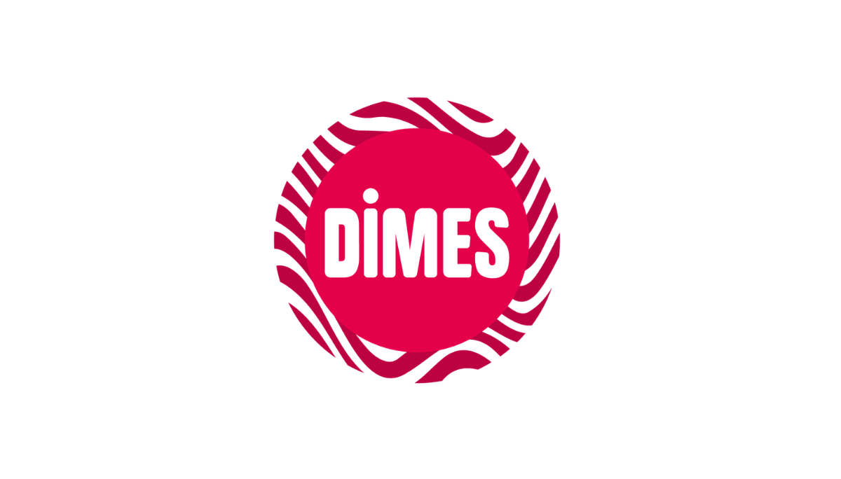 Dimes - Marka Deneyim Stajyeri