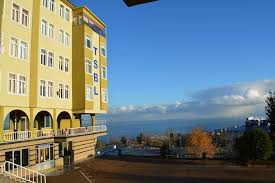 Trabzon Sosyal Bilimler Lisesi cover photo