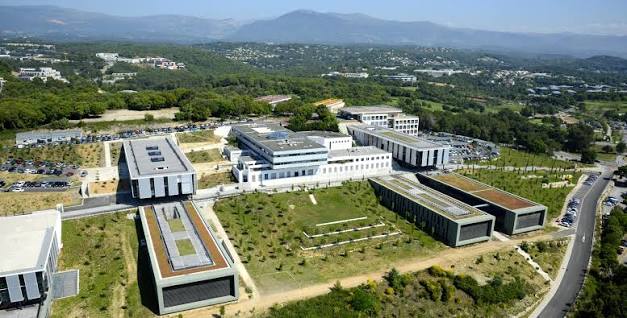Université de Nice Sophia Antipolis cover photo
