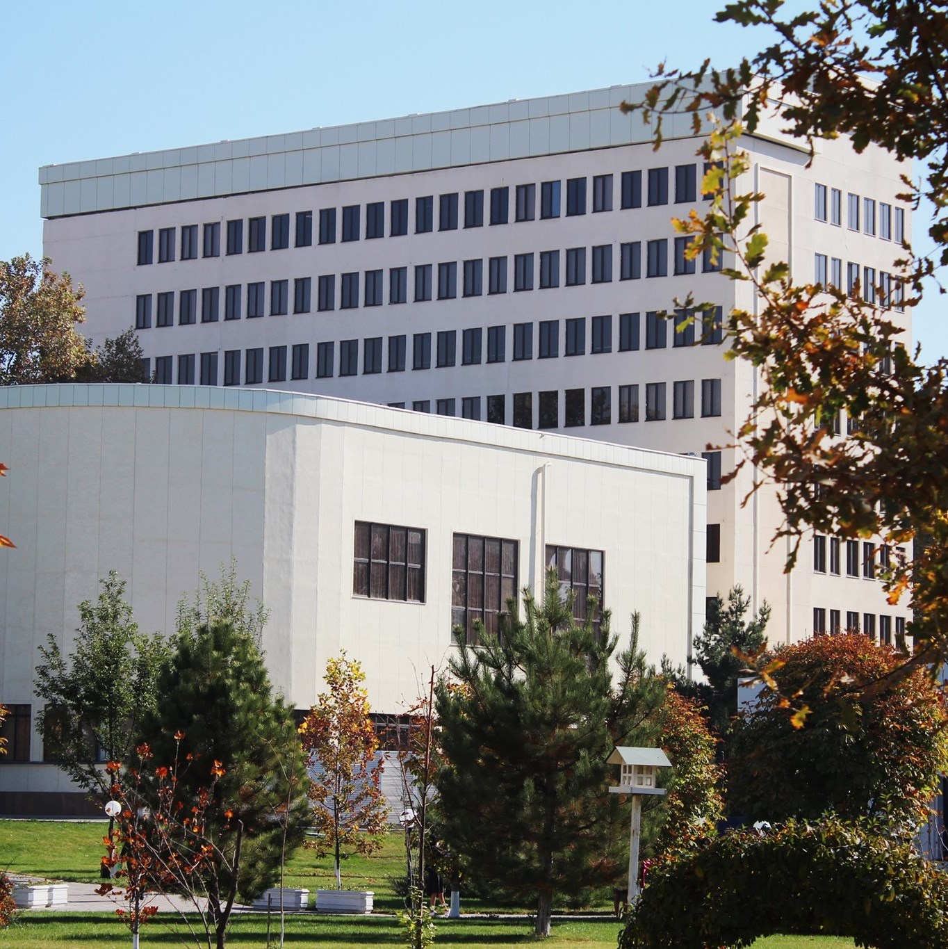 Academic Lyceum Under Westminster International University in Tashkent cover photo