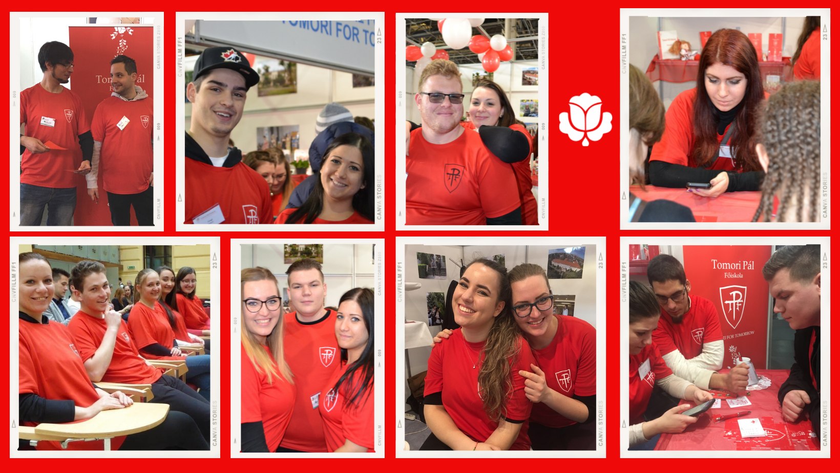 Tomori Pál College cover photo