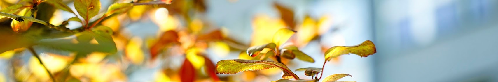 University of the National Education Commission Krakow cover photo