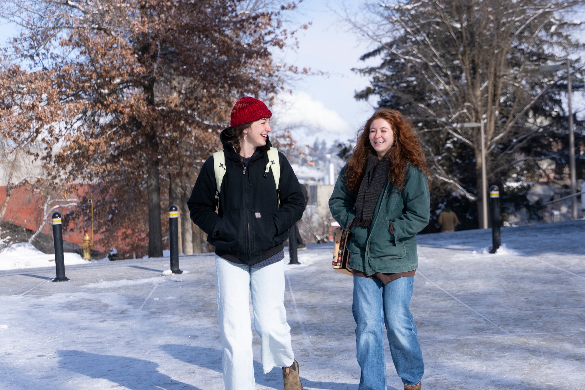 University of Idaho cover photo