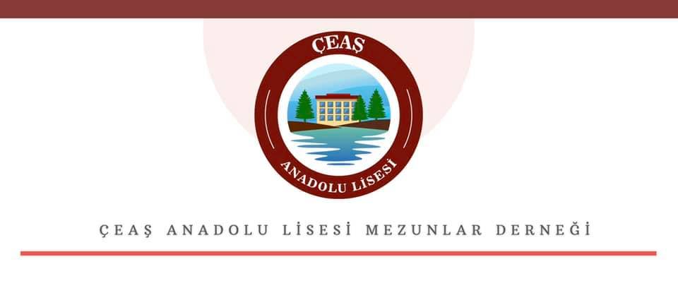 Adana Çeaş Anadolu Lisesi cover photo