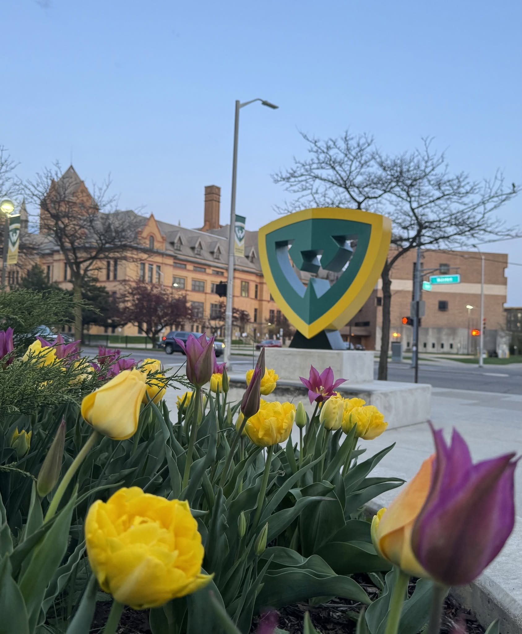 Wayne State Üniversitesi cover photo