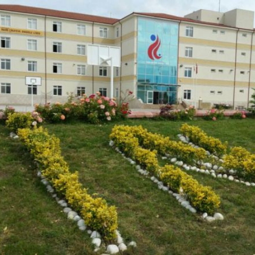 İnegöl Naire Çikayeva Anadolu Lisesi logo