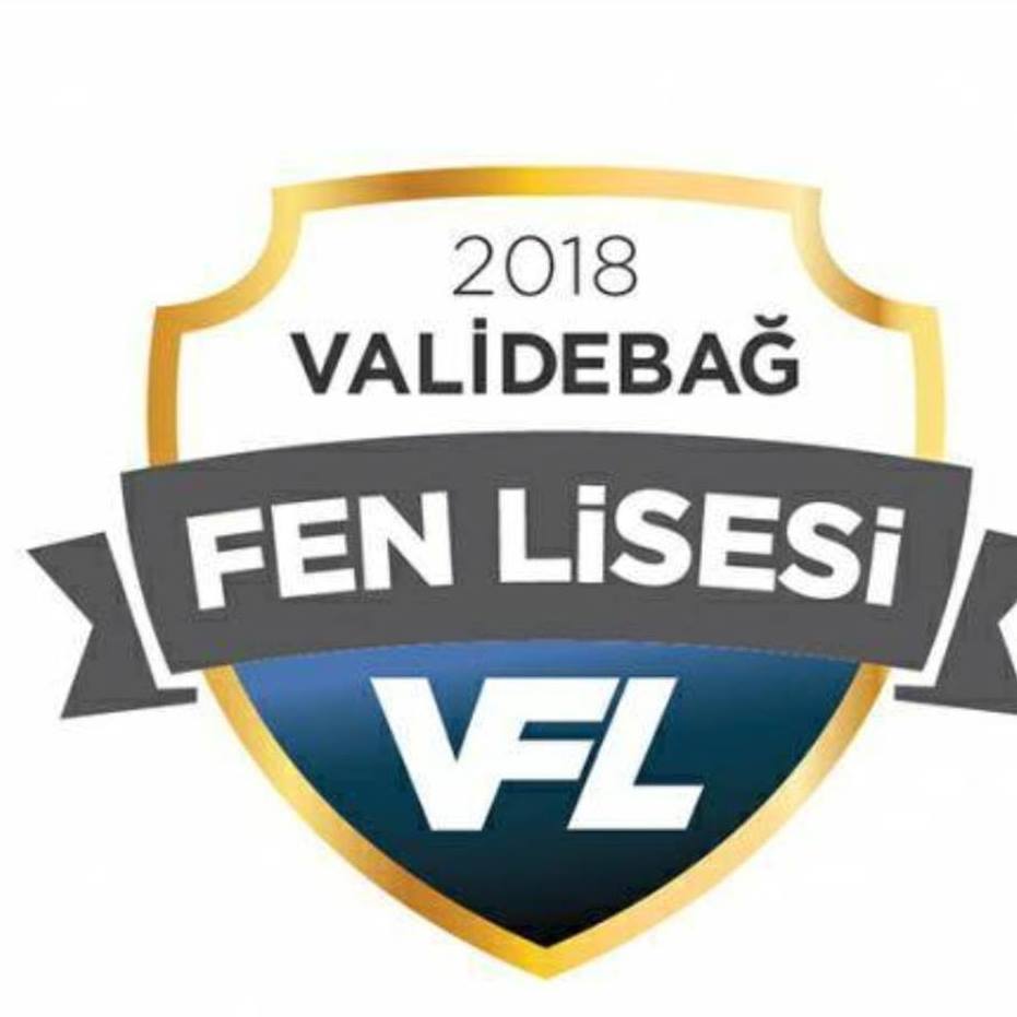 Validebağ Fen Lisesi logo