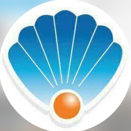 Özel Eryaman Okyanus Anadolu Lisesi logo