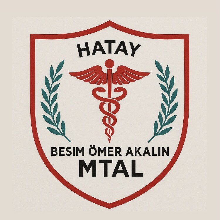 Hatay Besim Ömer Akalın Mesleki ve Teknik Anadolu Lisesi logo