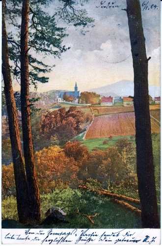 AK Ausblick vom Wald übers Feld in die Stadt, gelaufen