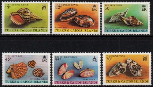 Turks- und Caicos-Inseln MiNr. 490/95 ** Weichtiere des Meeres