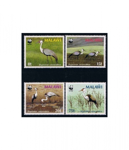 Malawi 477/80 ** Weltweiter Naturschutz: Klunkerkranich
