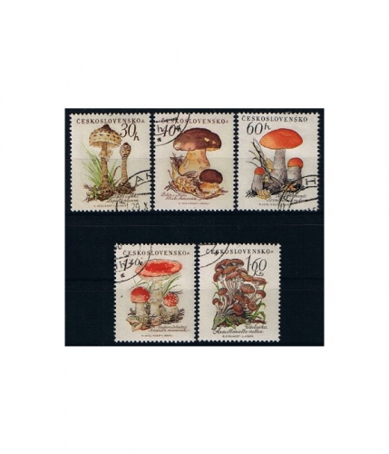 Tschechoslowakei 1101/05 O Pilze