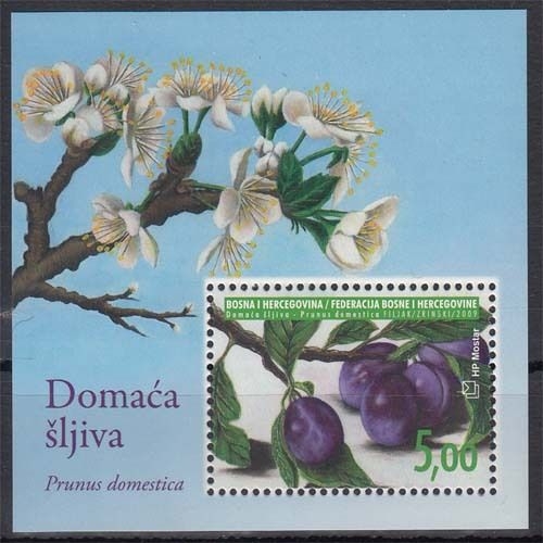 Bosnien Herzegowina kroat. Post MiNr. Bl. 20 ** Flora