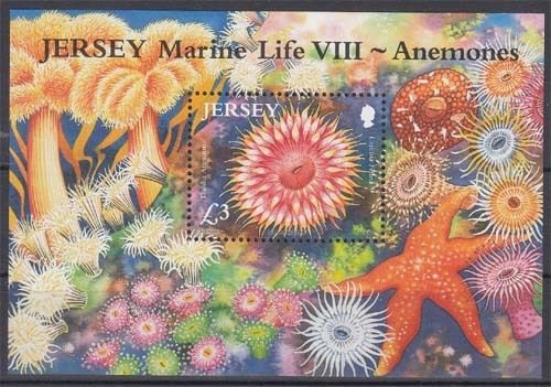 Jersey MiNr. Bl. 88 ** Meeresleben: Seeanemonen