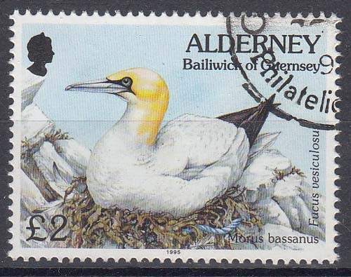 Alderney MiNr. 82 O Freimarken: Fauna und Flora