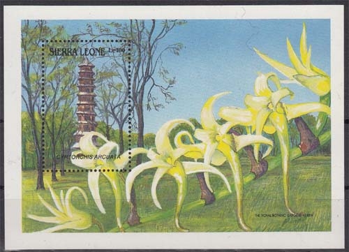 Sierra Leone MiNr. Bl. 107 ** Orchideen
