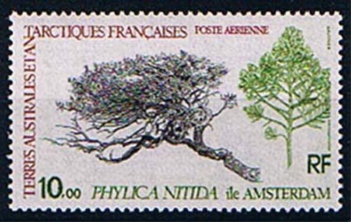 Französische Gebiete Antarktis 147 ** Flora