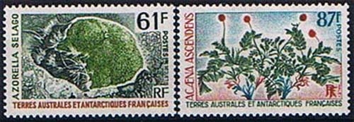Französische Gebiete Antarktis 83/84 ** Antarktische Pflanzen