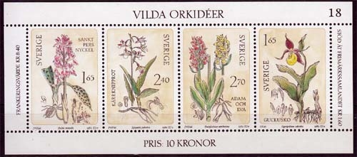 Schweden MiNr. Bl. 10 ** Wilde Orchideen