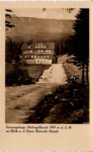 AK Riesengebirge - Schlingelbaude, ungelaufen