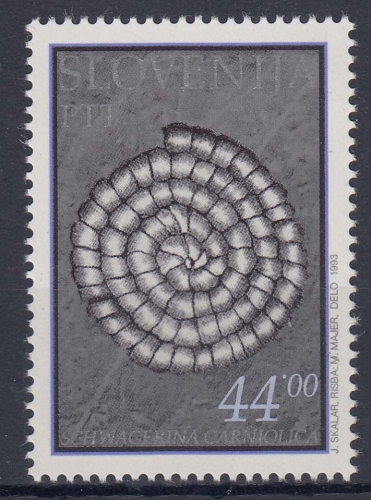 Slowenien 50 ** Fossilien
