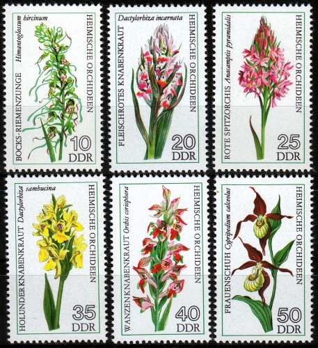 DDR MiNr. 2135/40 ** Heimische Orchideen