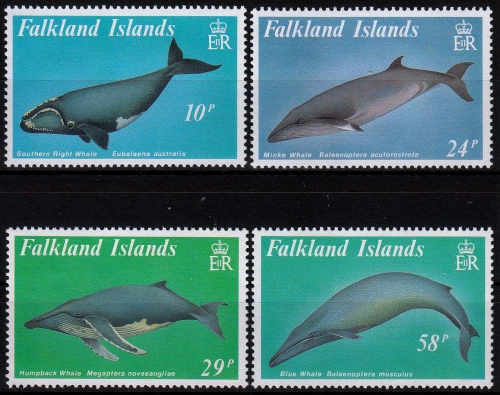Falklandinseln MiNr. 503/06 ** Fische und Wale