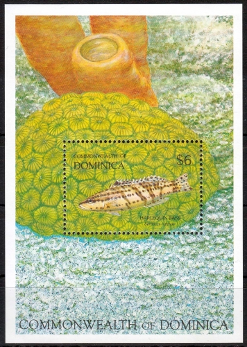 Dominica MiNr. Bl. 215 ** Leben am Riff bei Tag und Nacht, Fische