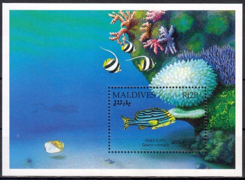 Malediven MiNr. Bl. 223 ** Fische