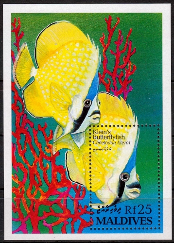 Malediven MiNr. Bl. 280 ** Fische