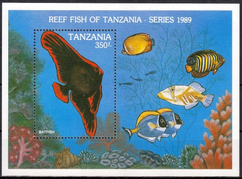 Tansania MiNr. Bl. 101 ** Fische, Fledermausfisch