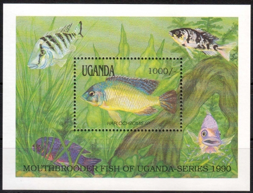 Uganda MiNr. Bl. 128 ** Einheimische Fische