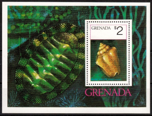 Grenada MiNr. Bl. 46 ** Weichtiere des Meeres