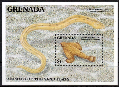 Grenada MiNr. Bl. 292 ** Unterwasserfauna