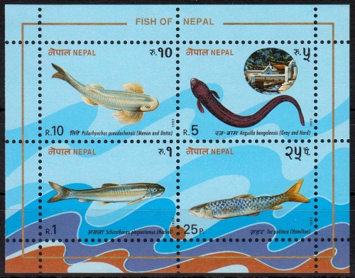 Nepal MiNr. Bl. 3 ** Fische