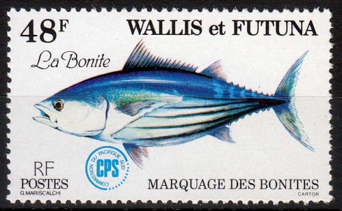 Wallis und Futuna MiNr. 336 ** Fische, Echter Bonito