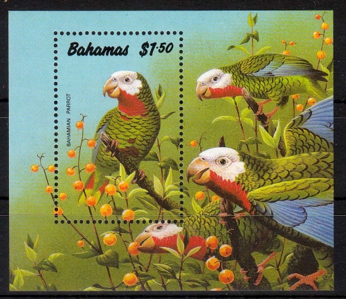 Bahamas MiNr. Bl. 62 ** Bahama-Weißkopfamazone