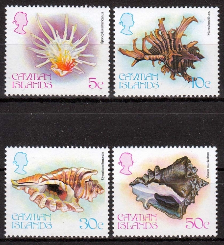 Kaiman-Inseln MiNr. 448/51 ** Weichtiere des Meeres