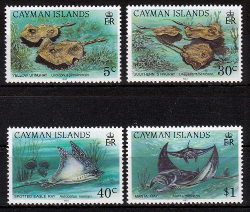 Kaiman-Inseln MiNr. 676/79 ** Rochen