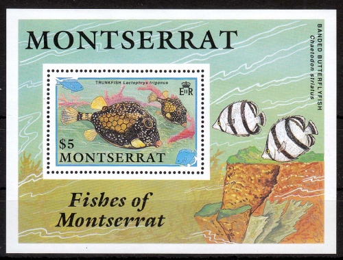 Montserrat MiNr. Bl. 60 ** Meerestiere