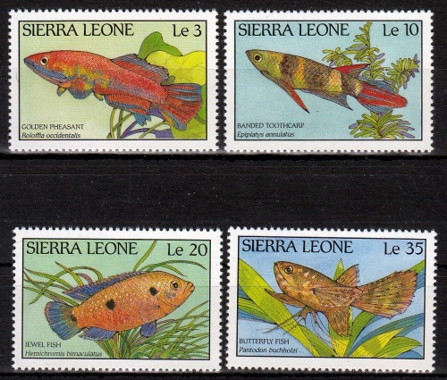 Sierra Leone MiNr. 1081/84 ** Fische